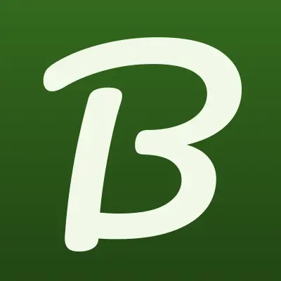 Браво, лого-визитка