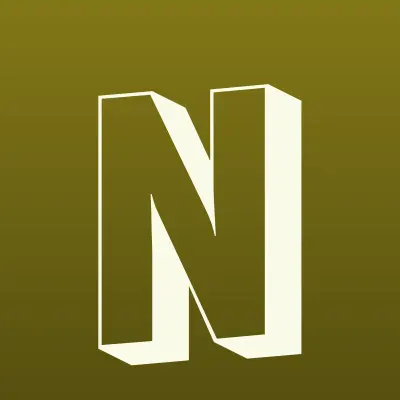 Нью-Ньютоны, школа развития интеллекта, лого-визитка
