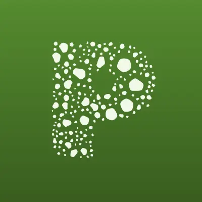 Первый VPS, компания, лого-визитка