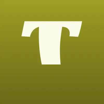 Terem, сеть фирменных салонов, лого-визитка